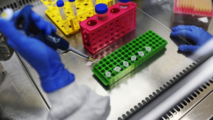 OPAS: todos países devem ter acesso às vacinas contra covid-19