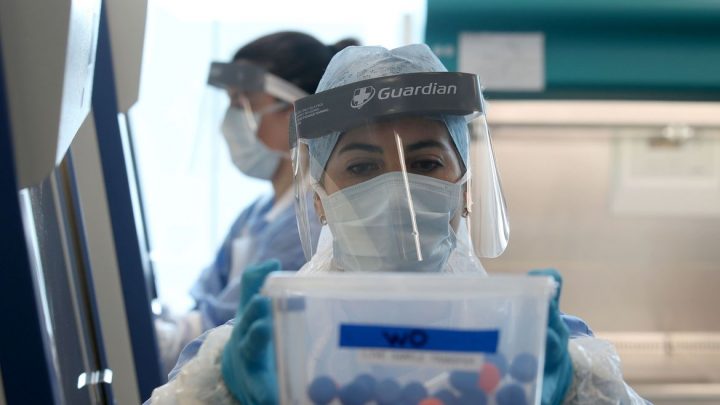 Inglaterra: casos não diagnosticados podem indicar mais mortes