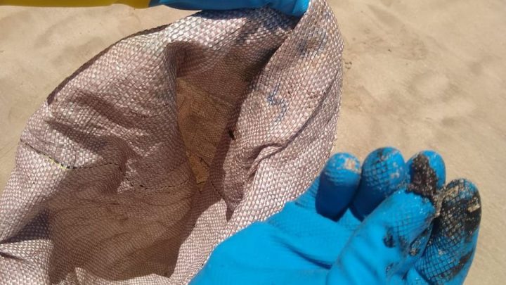 Óleo volta a poluir praias de Alagoas e Pernambuco