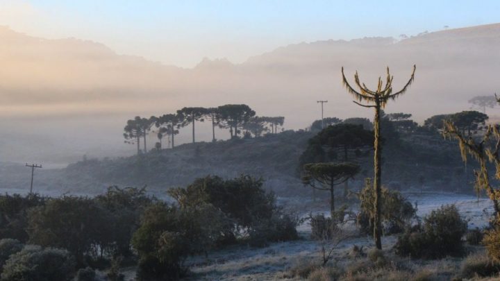 Massa de ar polar provoca frio intenso durante a semana no país
