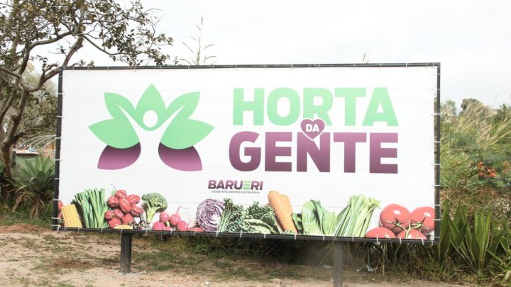 “Horta da Gente” faz primeira colheita de alface, salsa, coentro e rabanete