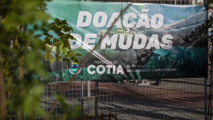 Semana da árvore: Secretaria do Verde faz pedágio ambiental na Feira Noturna de Cotia