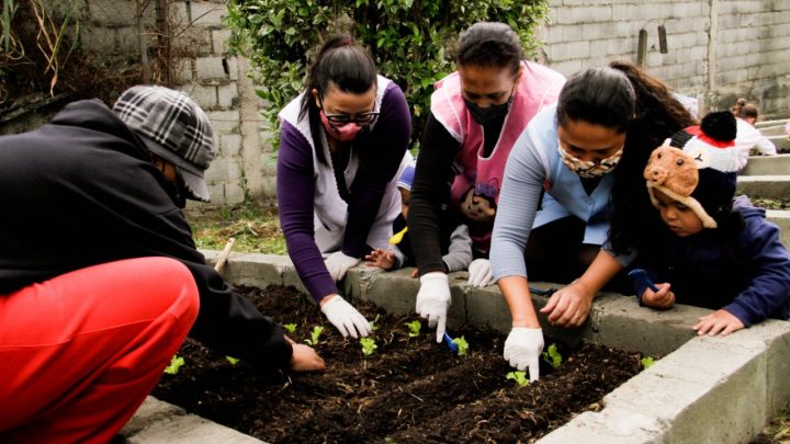 Educação de Jandira inaugura horta comunitária na EMEB Gente Inocente
