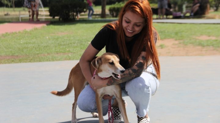 Campanha de castração de abril esteriliza quase 800 animais