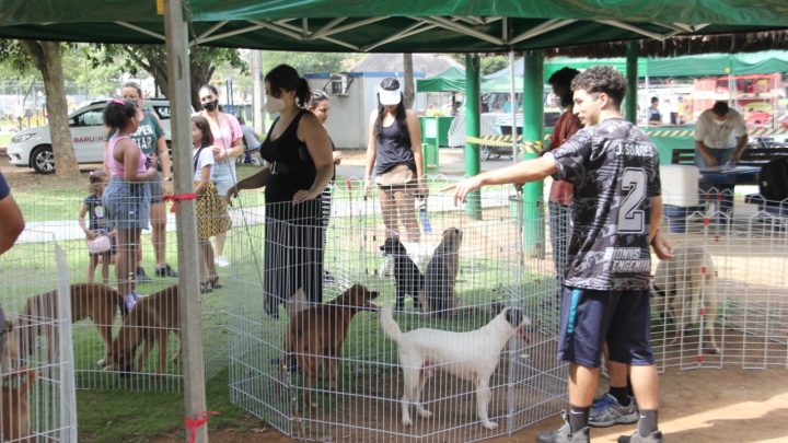 Dia Animal reunirá diversos serviços gratuitos aos pets de Barueri