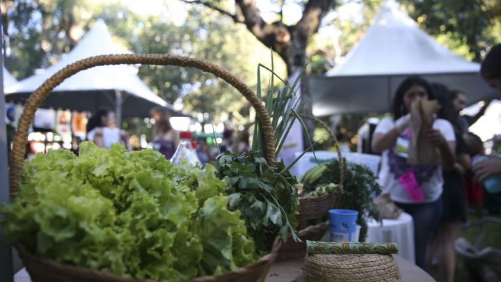 Programa convoca jovens a desenvolver soluções sustentáveis globais
